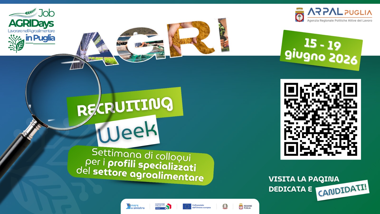 AGRI JOB DAYS: GRANDE RECLUTAMENTO PER L’AGROALIMENTARE NELLE  PROVINCE DI BARI, BAT E FOGGIA